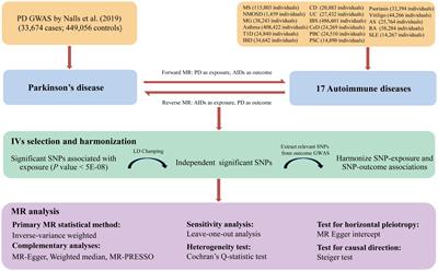 Investigation of the causal association between Parkinson’s disease and autoimmune disorders: a bidirectional Mendelian randomization study